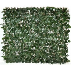 ΑΝΑΡΡΙΧΟΜΕΝΟΣ ΚΙΣΣΟΣ ΜΕ ΠΕΡΓΚΟΛΑ 1Χ2 ΜΕΤΡΑ E-2107 ΑΝΑΡΡΙΧΟΜΕΝΟΣ ΚΙΣΣΟΣ ΜΕ ΠΕΡΓΚΟΛΑ 1Χ2 ΜΕΤΡΑ E-2107